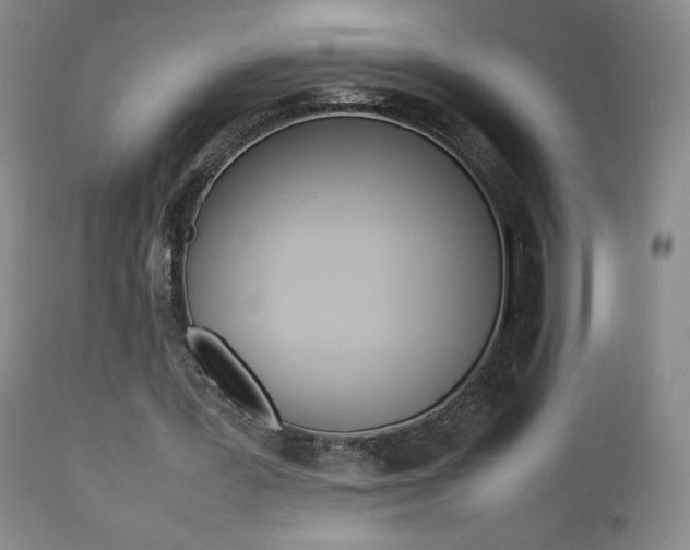 X0000112770387200908201355