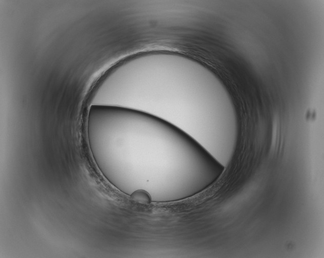 X0000112770388200908201355