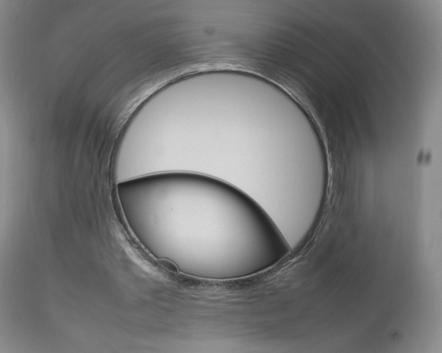 X0000112770389200908201355