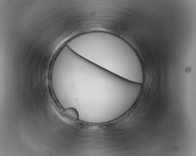 X0000112770390200908201355