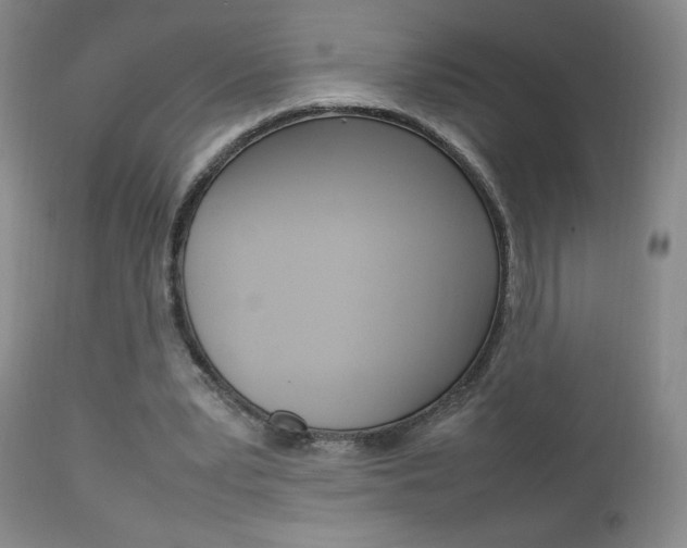 X0000112770391200908201355