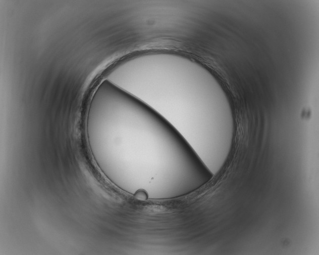 X0000112770392200908201355