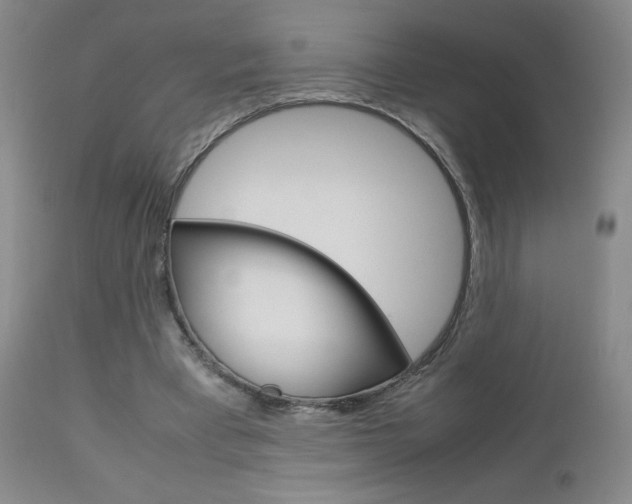 X0000112770393200908201355