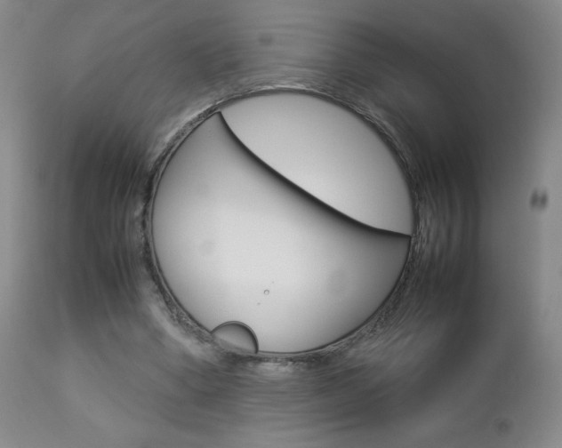 X0000112770394200908201355