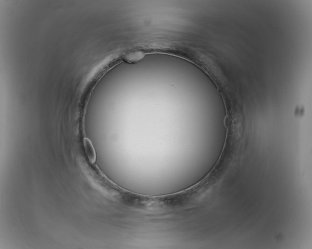 X0000112770395200908201355