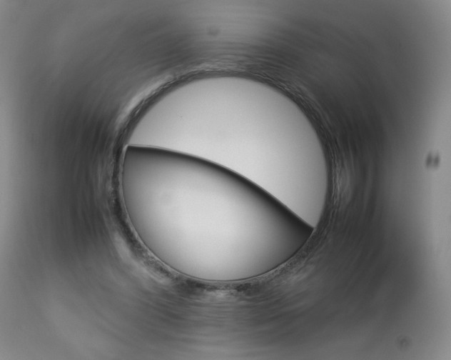 X0000112770396200908201355