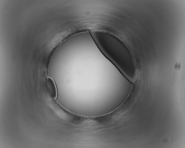 X0000112770397200908201355