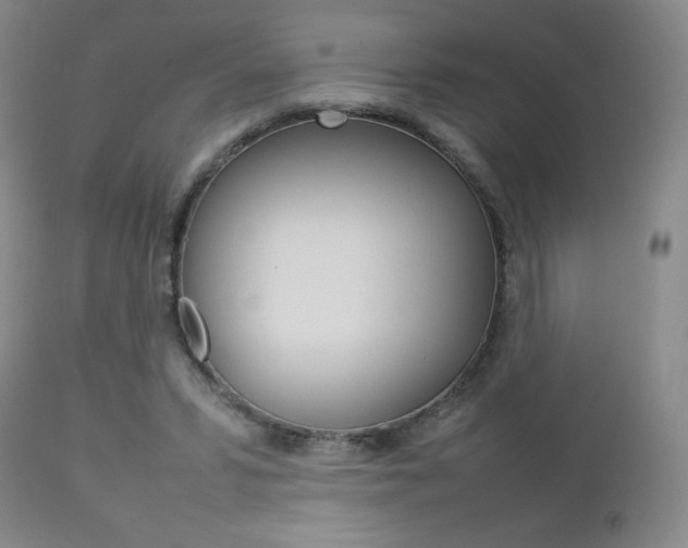 X0000112770399200908201355