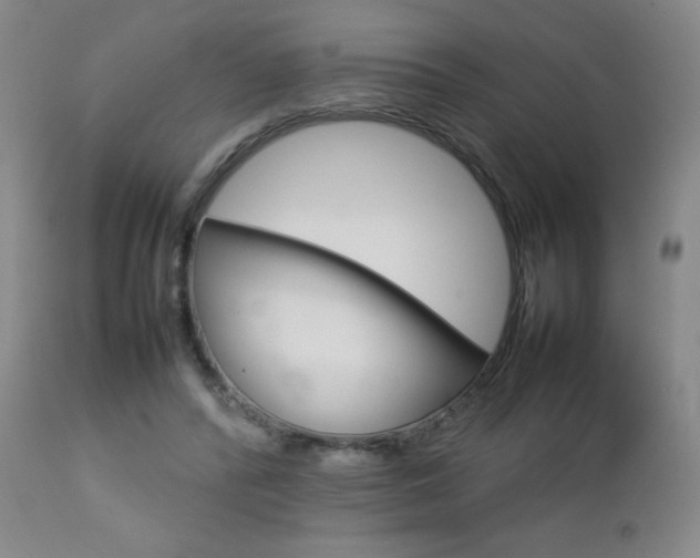 X0000112770400200908201355