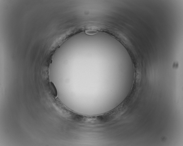 X0000112770401200908201355