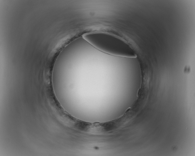 X0000112770403200908201355