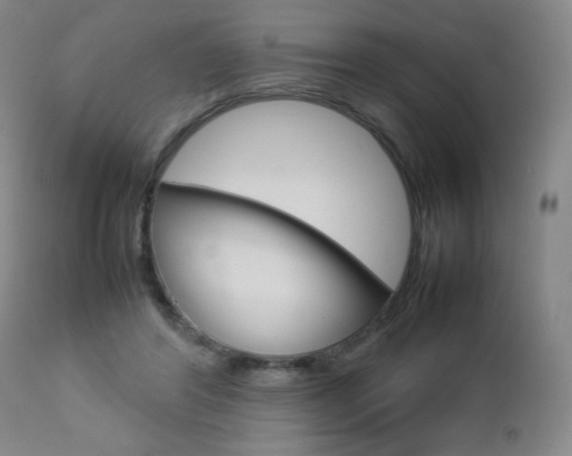 X0000112770404200908201355