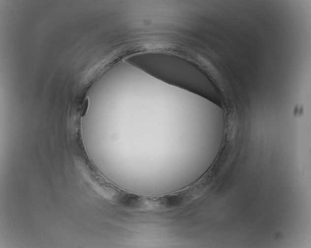 X0000112770405200908201355