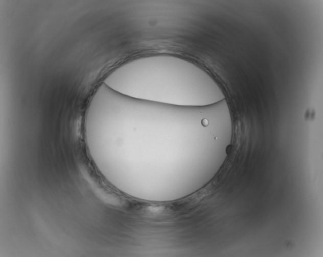 X0000112770406200908201355