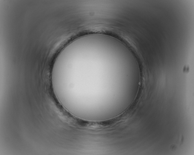 X0000112770407200908201355