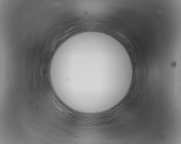X0000112770409200908201355