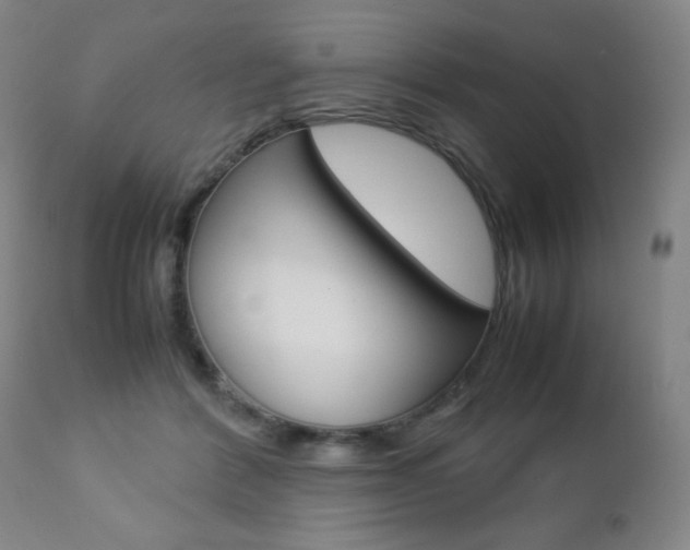 X0000112770412200908201355