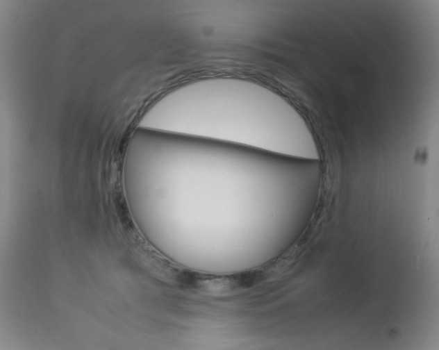 X0000112770417200908201355