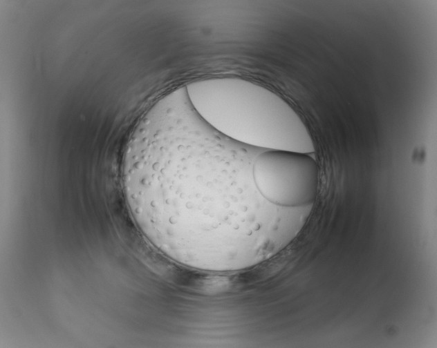 X0000112770418200908201355