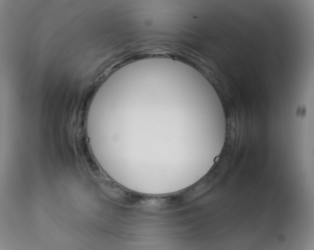 X0000112770422200908201355