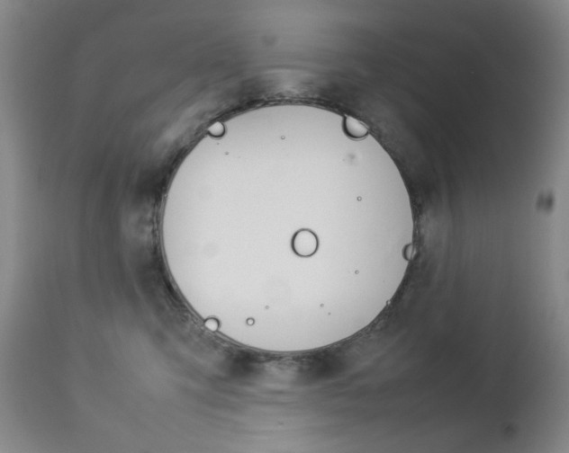 X0000112770423200908201355