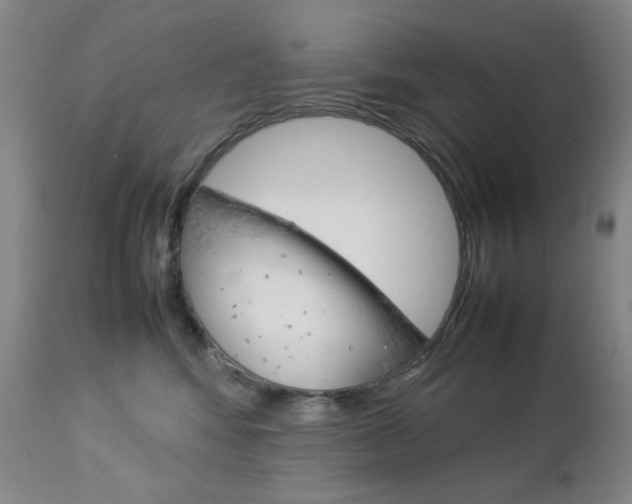 X0000112770424200908201355
