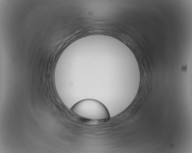 X0000112770425200908201355