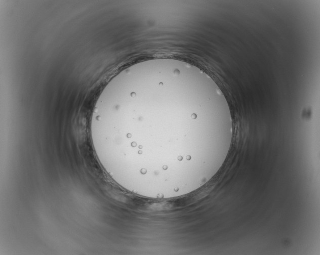 X0000112770426200908201354