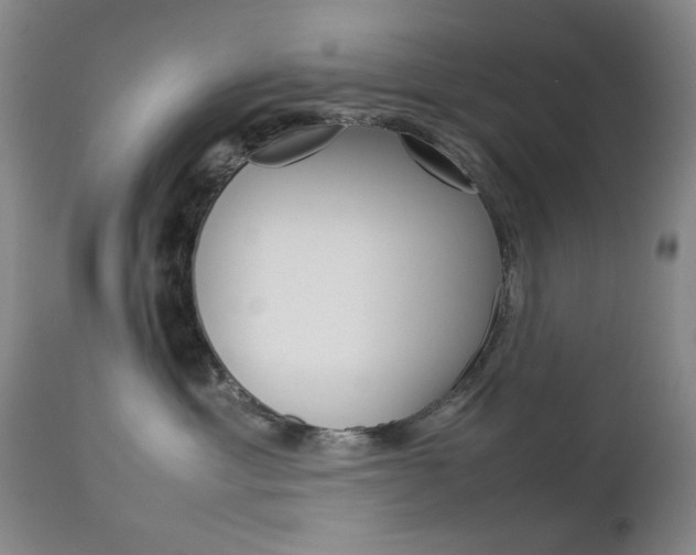 X0000112770429200908201354