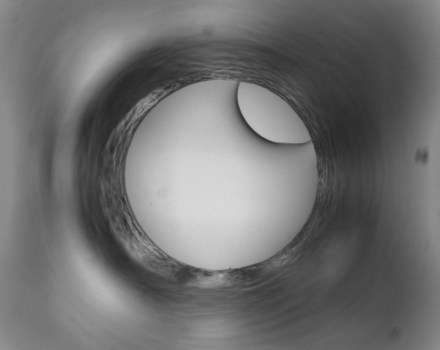 X0000112770430200908201354