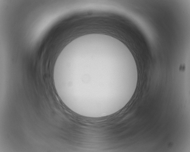 X0000112770431200908201354