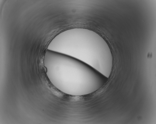 X0000112770432200908201354