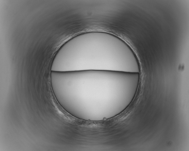 X0000112770433200908201353
