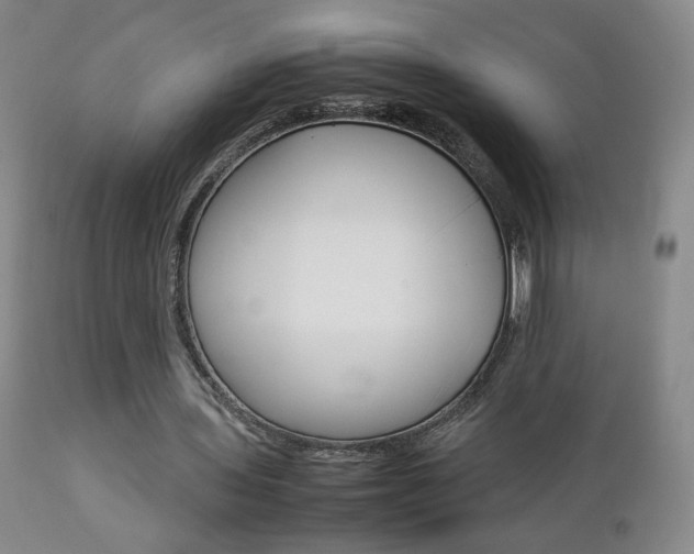 X0000112770435200908201353
