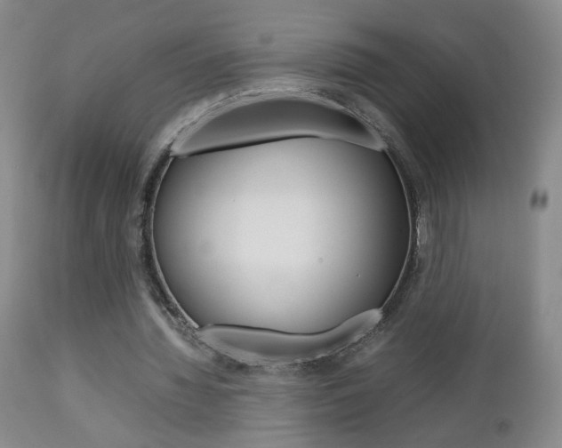 X0000112770436200908201353