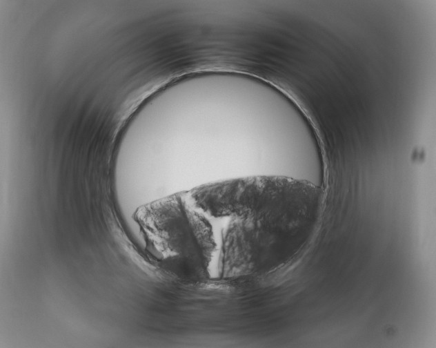 X0000112770437200908201353