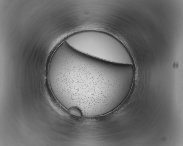 X0000112770438200908201353