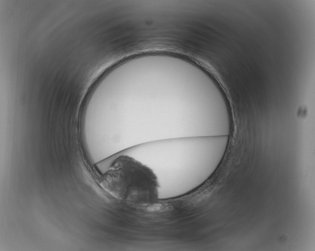 X0000112770439200908201354