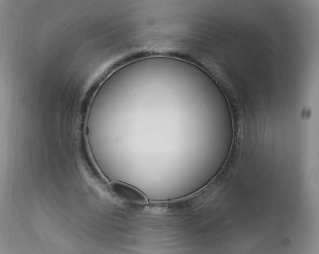 X0000112770440200908201354
