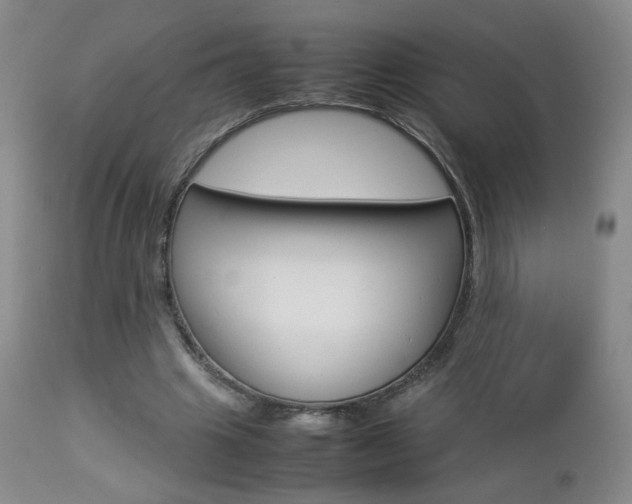 X0000112770441200908201354