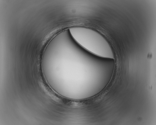 X0000112770442200908201354