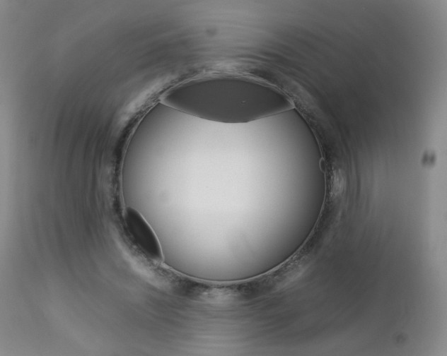 X0000112770444200908201354