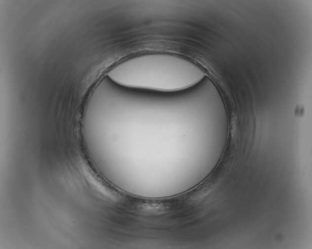 X0000112770445200908201354