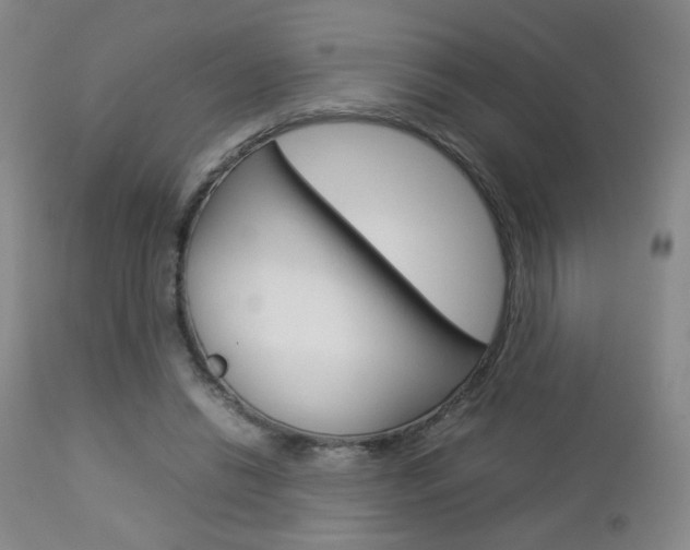 X0000112770446200908201354