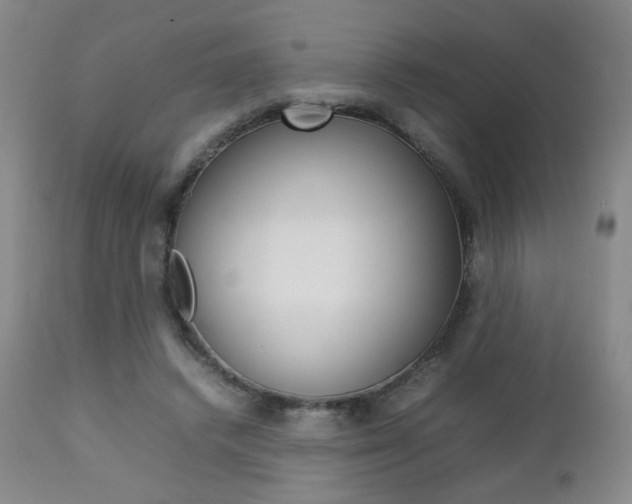 X0000112770448200908201354