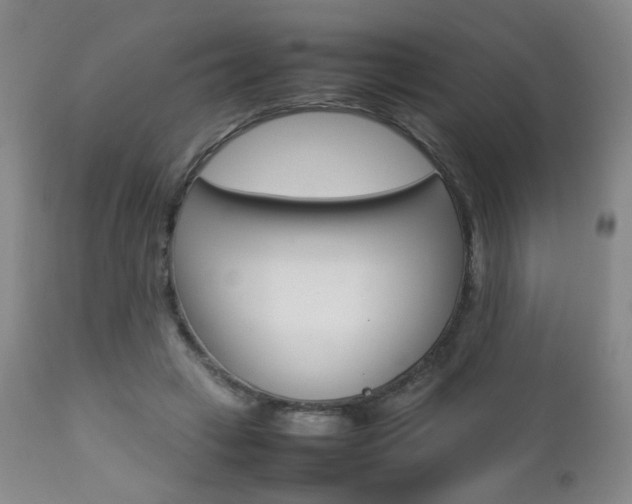 X0000112770449200908201354