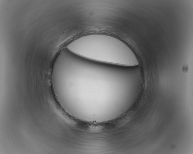 X0000112770450200908201354