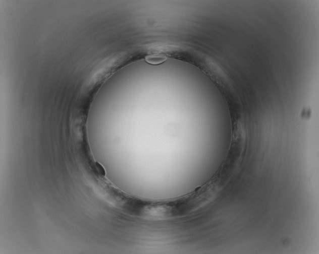 X0000112770452200908201354