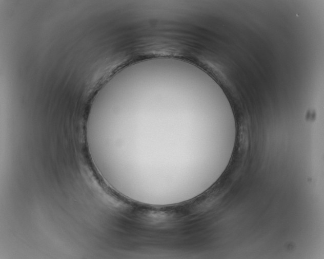 X0000112770453200908201354