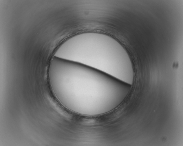 X0000112770454200908201354
